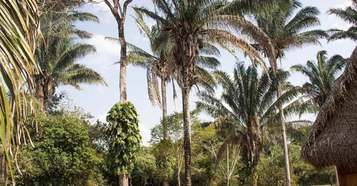 Savanna Orinoquia Lodge Orocué Zewnętrze zdjęcie